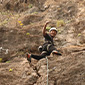 Rock Climbing in nepal